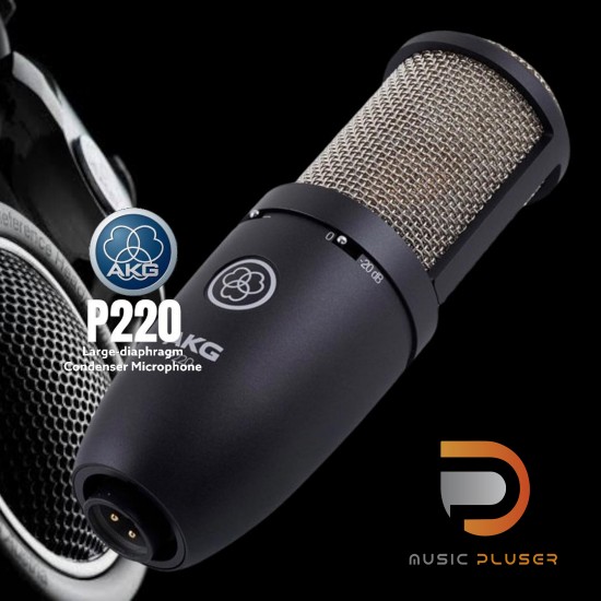 Akg p220 online